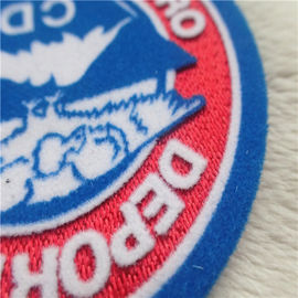 Smooth Custom Heat Transfer Patches 3 Diemensional Embossed Plush Printing Tatami Flocking R
